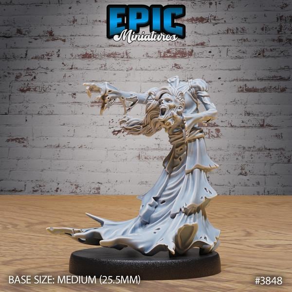 Banshee Miniature | 3848 - Tabletop RPG & D&D miniature. Perfect for wargaming & collectors