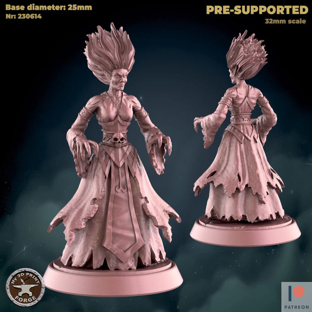 Banshee Miniature | B - Tabletop RPG & D&D miniature. Perfect for wargaming & collectors