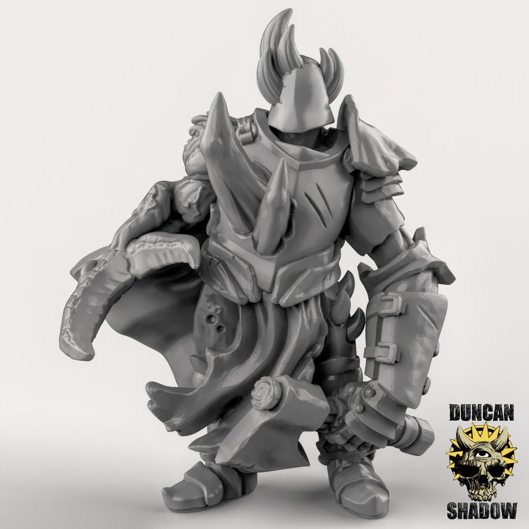 Chaos Warrior Miniature | B - Tabletop RPG & D&D miniature. Perfect for wargaming & collectors