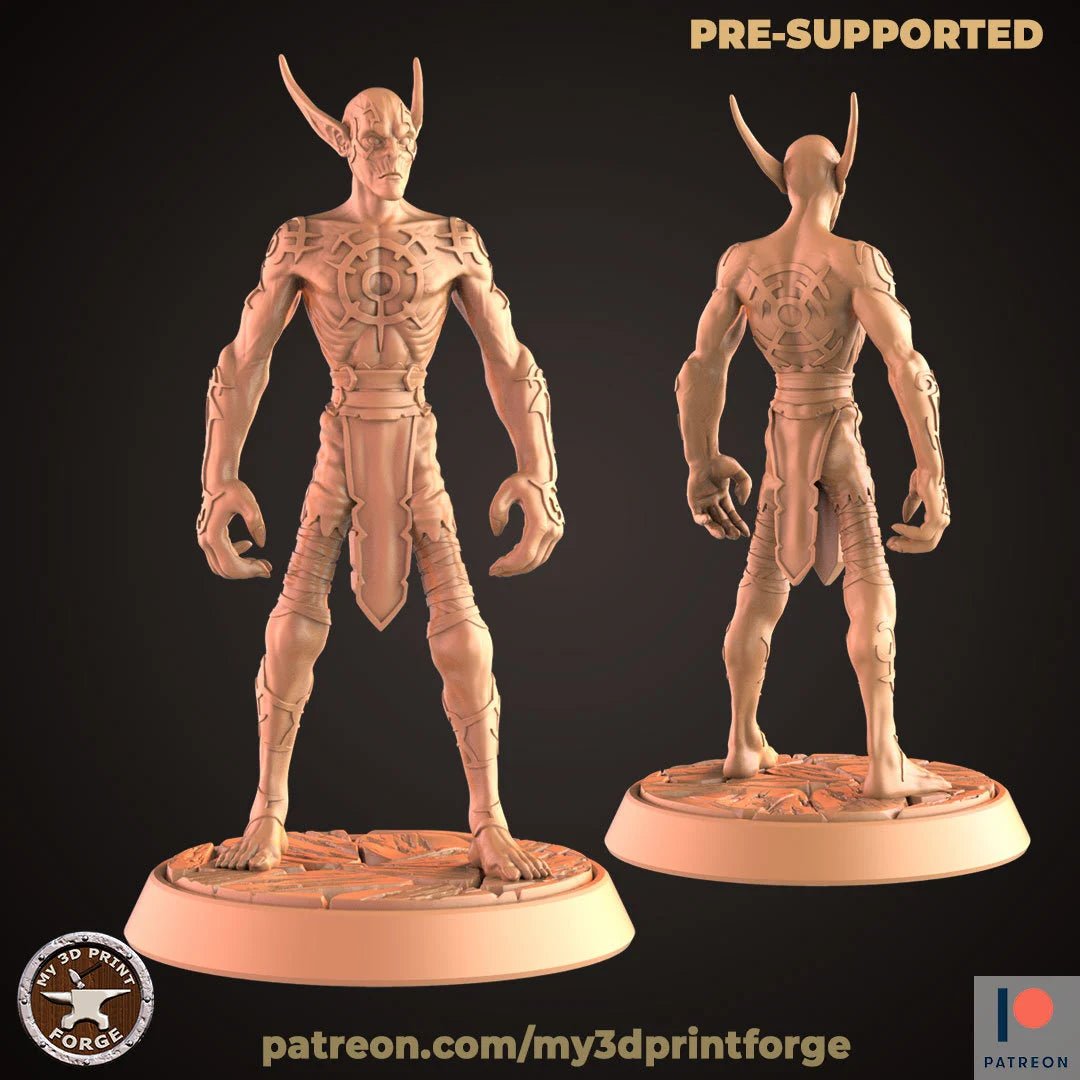 Dark Elves Miniature | C - Tabletop RPG & D&D miniature. Perfect for wargaming & collectors