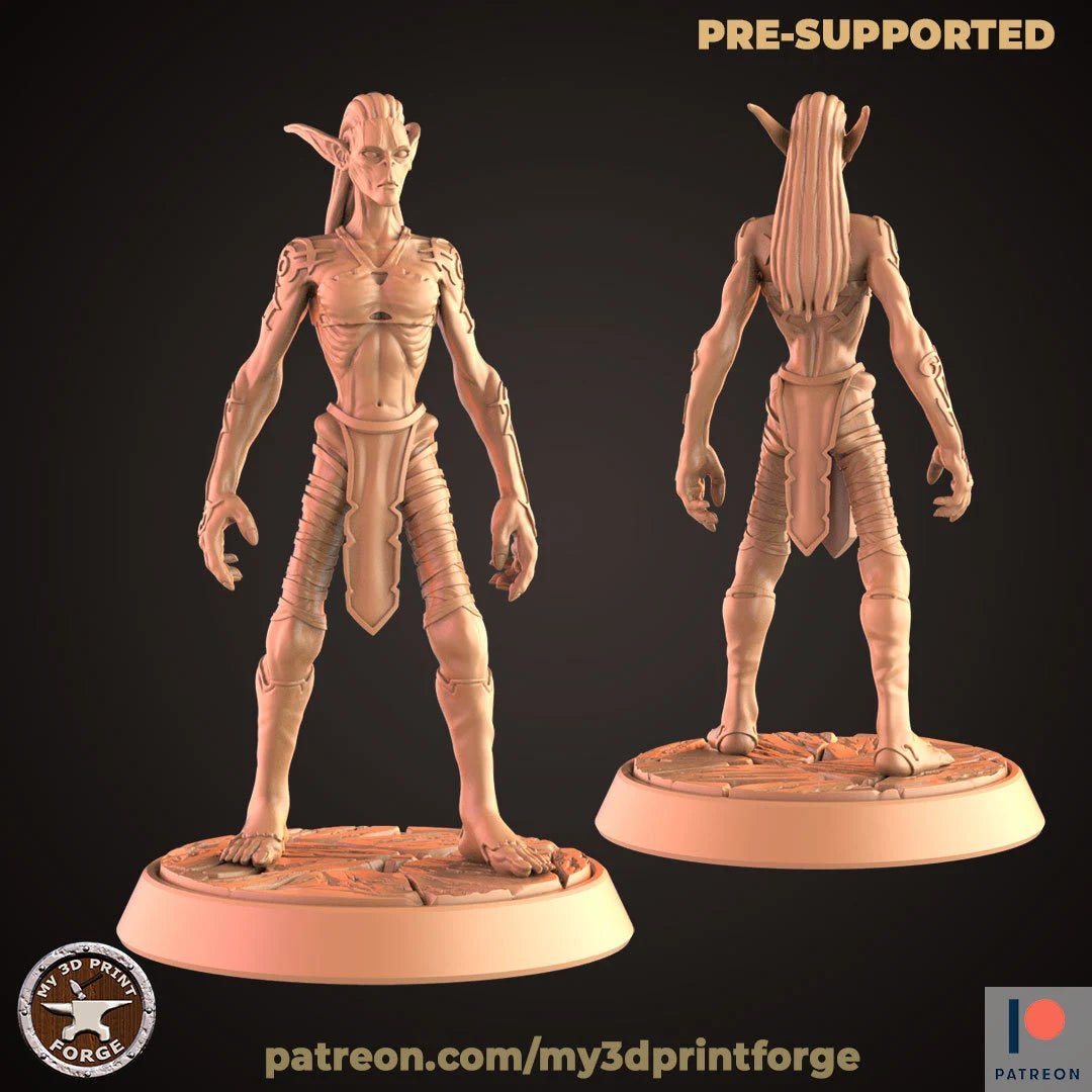 Dark Elves Miniature | E - Tabletop RPG & D&D miniature. Perfect for wargaming & collectors