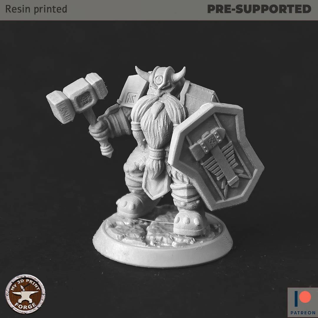 Dwarf Paladin Miniature - B - 28mm