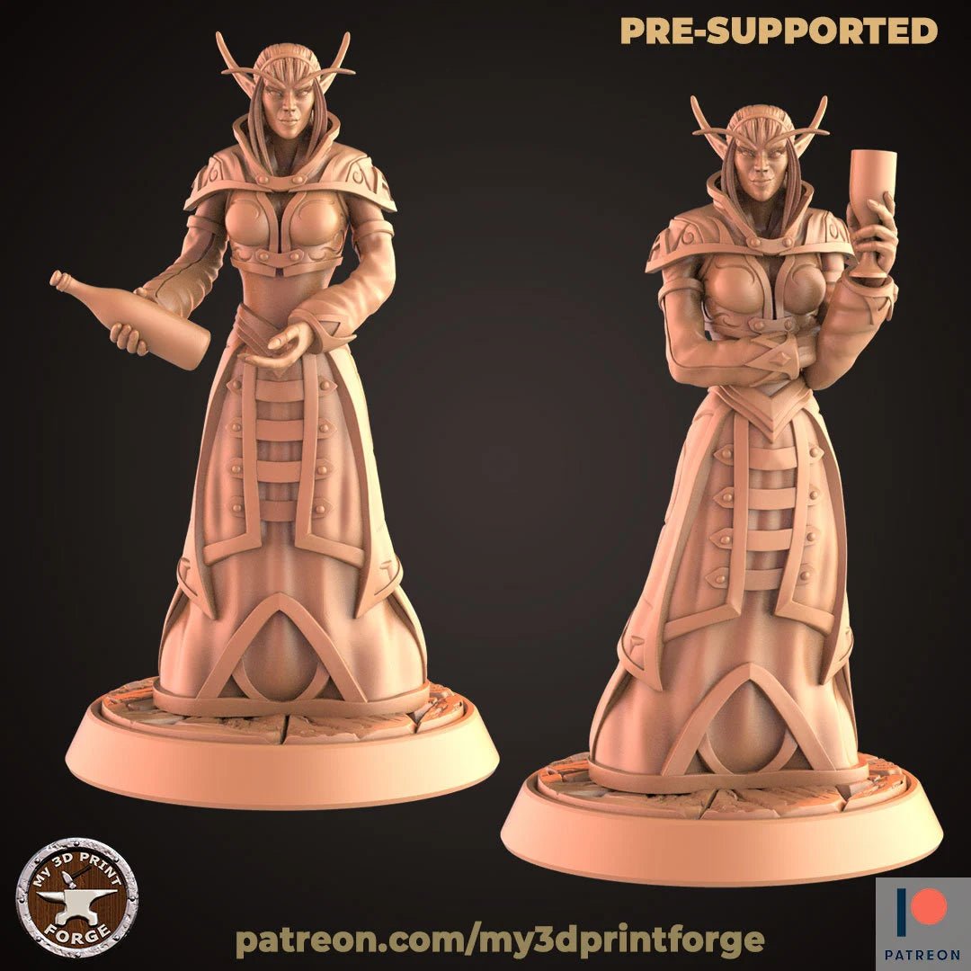 Female Elf Noble Miniature | Set of 2 - Tabletop RPG & D&D miniature. Perfect for wargaming & collectors