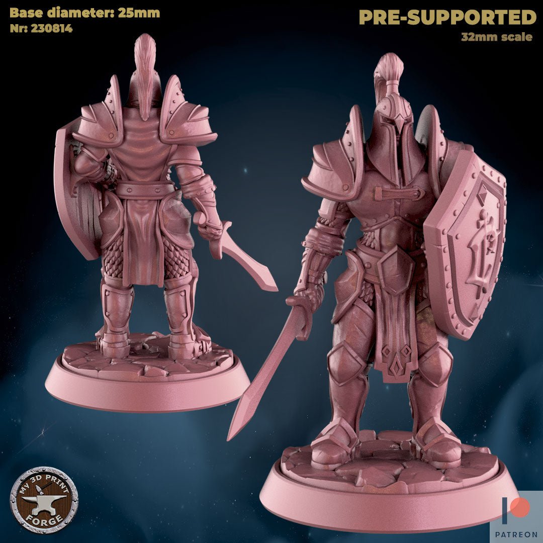 Female Knight Miniature | B - Tabletop RPG & D&D miniature. Perfect for wargaming & collectors