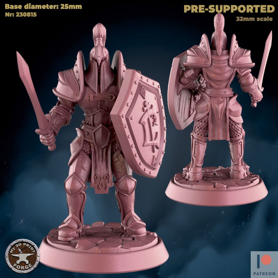 Female Knight Miniature | C - Tabletop RPG & D&D miniature. Perfect for wargaming & collectors