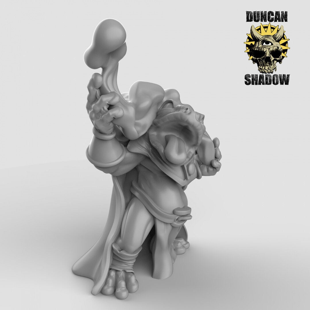 Frog Folk Shaman Miniature | B - Tabletop RPG & D&D miniature. Perfect for wargaming & collectors
