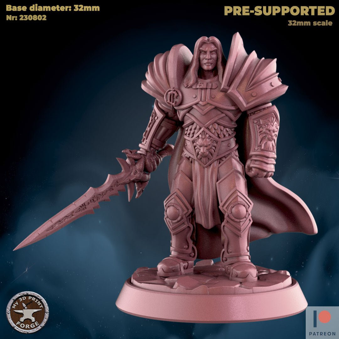 Paladins leader Miniature | B - Tabletop RPG & D&D miniature. Perfect for wargaming & collectors