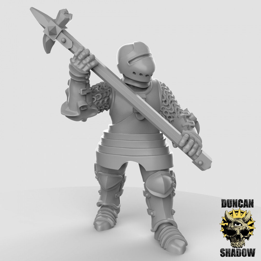 Royal Knight, Knight/ Guardmen, Miniatures by Duncan Shadow Dnd, Dungeon and Dragon Mini, Tabletop Miniature, Miniature, Fantasy Miniature
