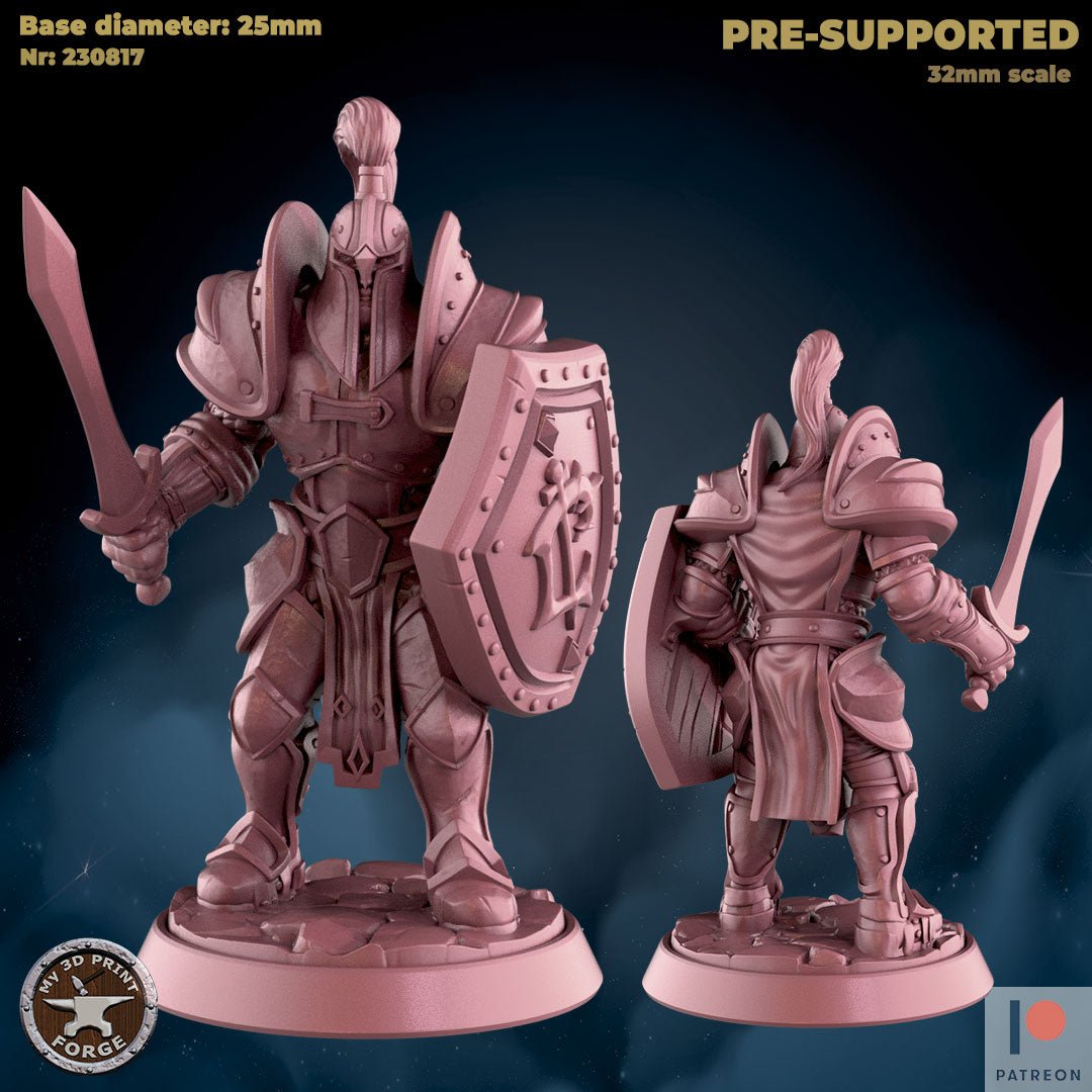Male Knight Miniature | B - Tabletop RPG & D&D miniature. Perfect for wargaming & collectors