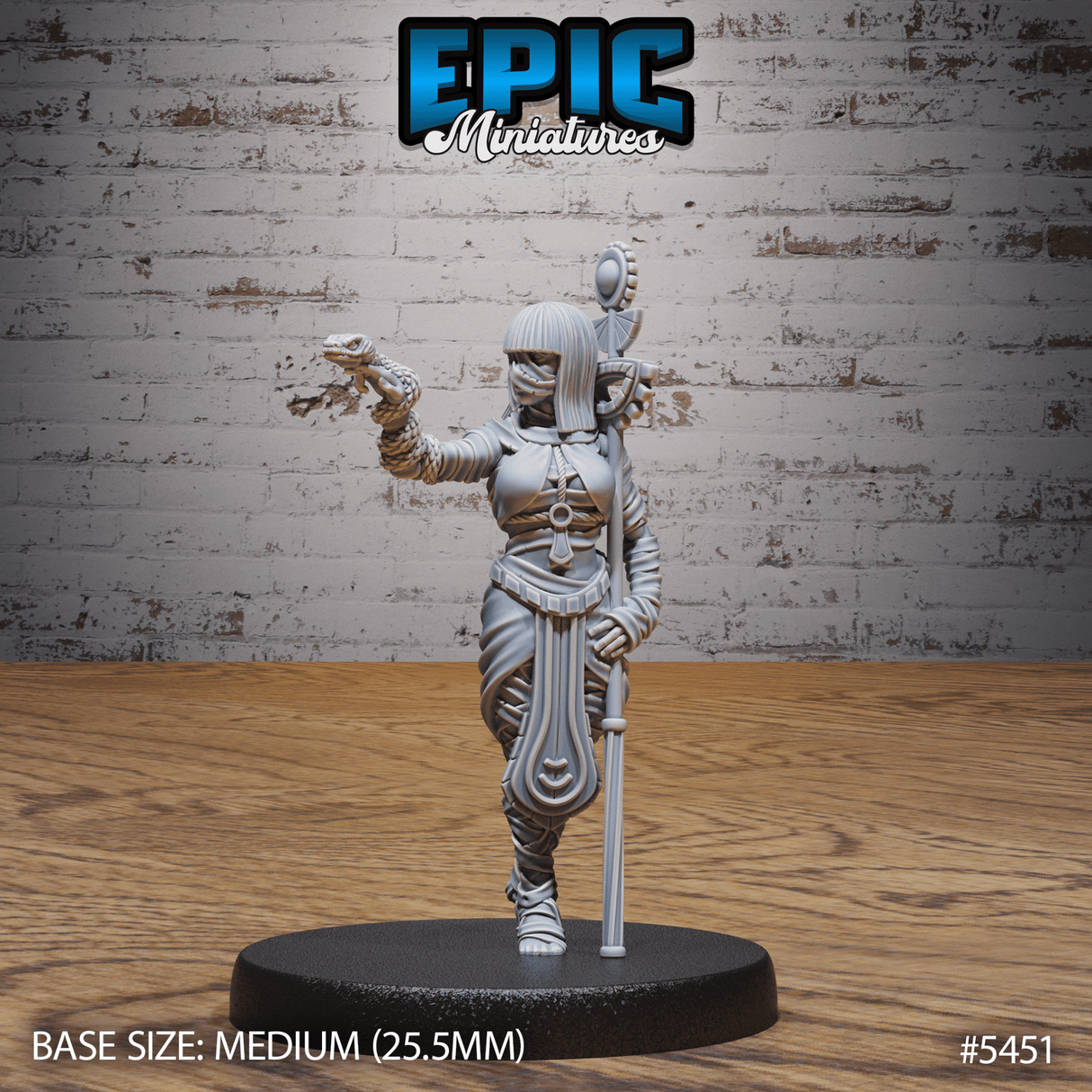 Mummy Army Miniature | C - Tabletop RPG & D&D miniature. Perfect for wargaming & collectors