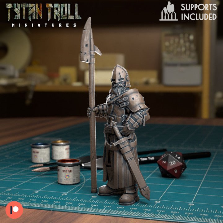 Northern Guards Miniature | C - Tabletop RPG & D&D miniature. Perfect for wargaming & collectors