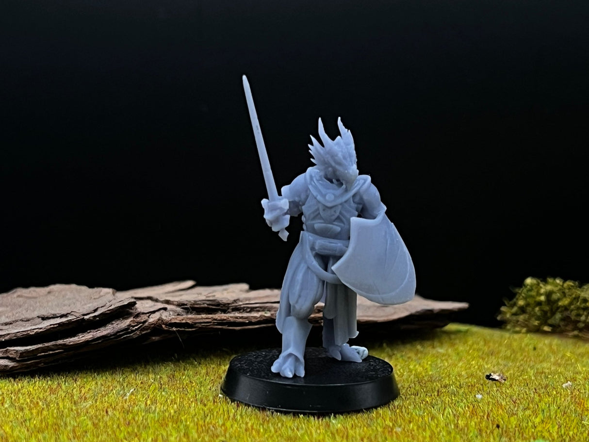 Northern Guards Miniature | Set of 10 - Tabletop RPG & D&D miniature. Perfect for wargaming & collectors
