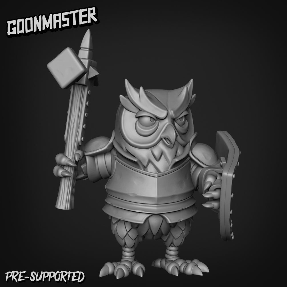Owl Folk Fighter Paladin Wizard Miniature | D - Tabletop RPG & D&D miniature. Perfect for wargaming & collectors