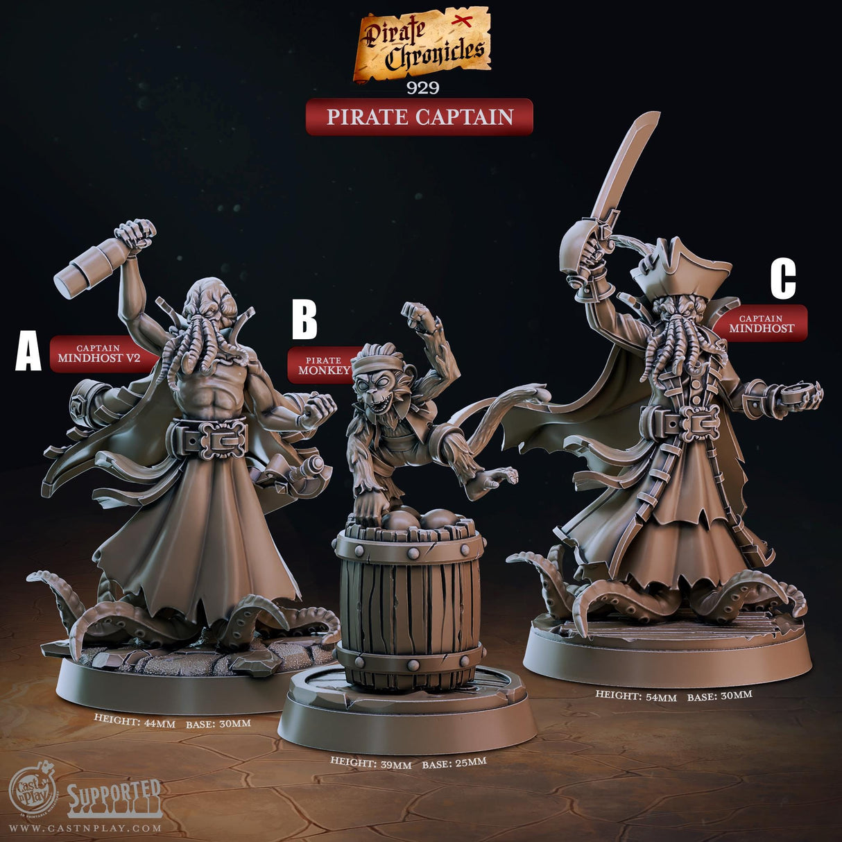 Pirate Captain Miniature | A - Tabletop RPG & D&D miniature. Perfect for wargaming & collectors