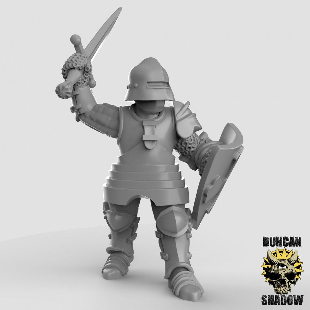 Royal Knight, Knight, Guardmen Miniature | Left - Tabletop RPG & D&D miniature. Perfect for wargaming & collectors