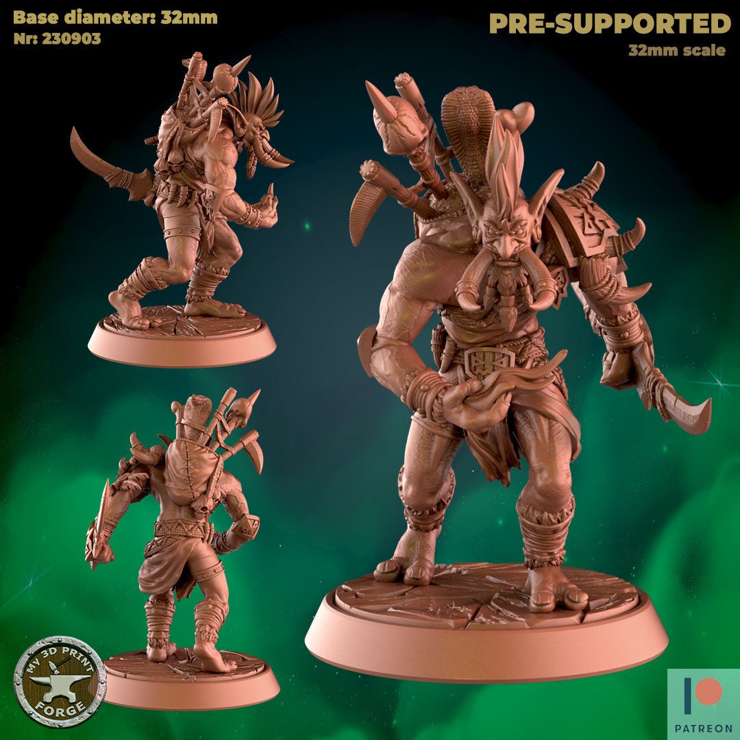 Troll Warlock Cleric Set 2 Miniature | B - Tabletop RPG & D&D miniature. Perfect for wargaming & collectors