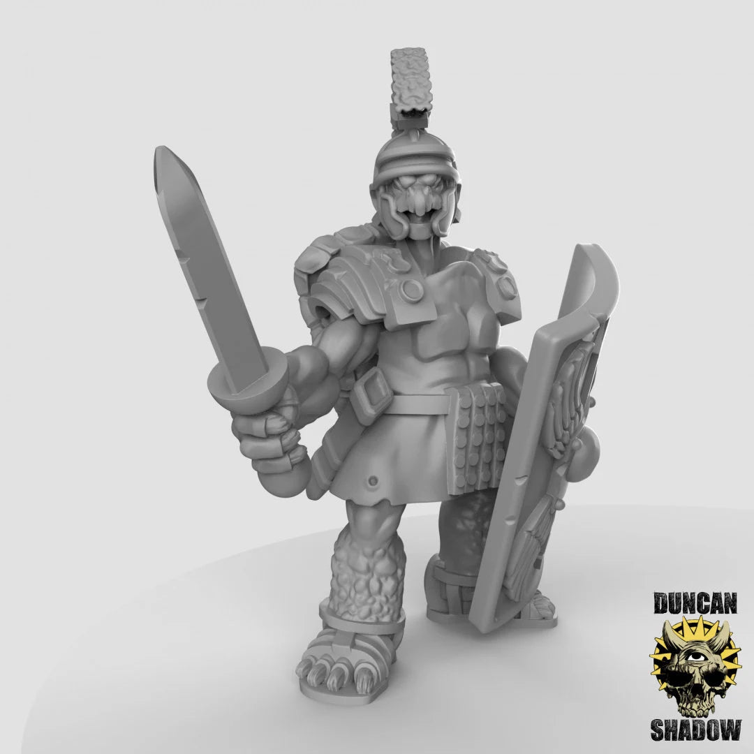 Turtle Folk Fighter Miniature | A - Tabletop RPG & D&D miniature. Perfect for wargaming & collectors