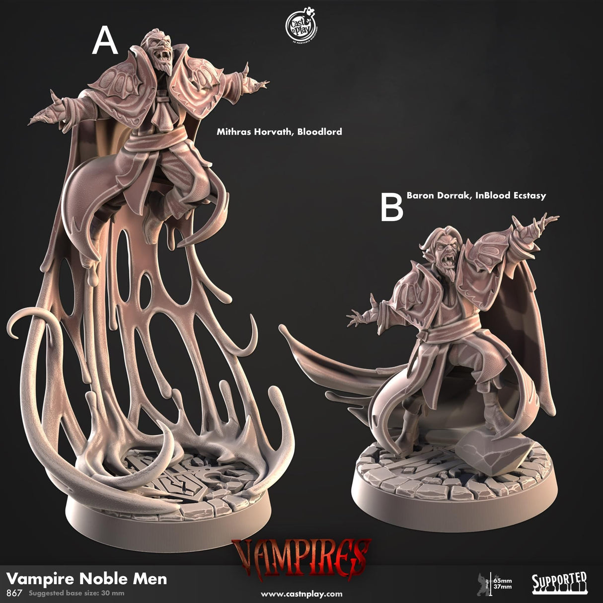 Vampire Noble Men Miniature | A - Tabletop RPG & D&D miniature. Perfect for wargaming & collectors