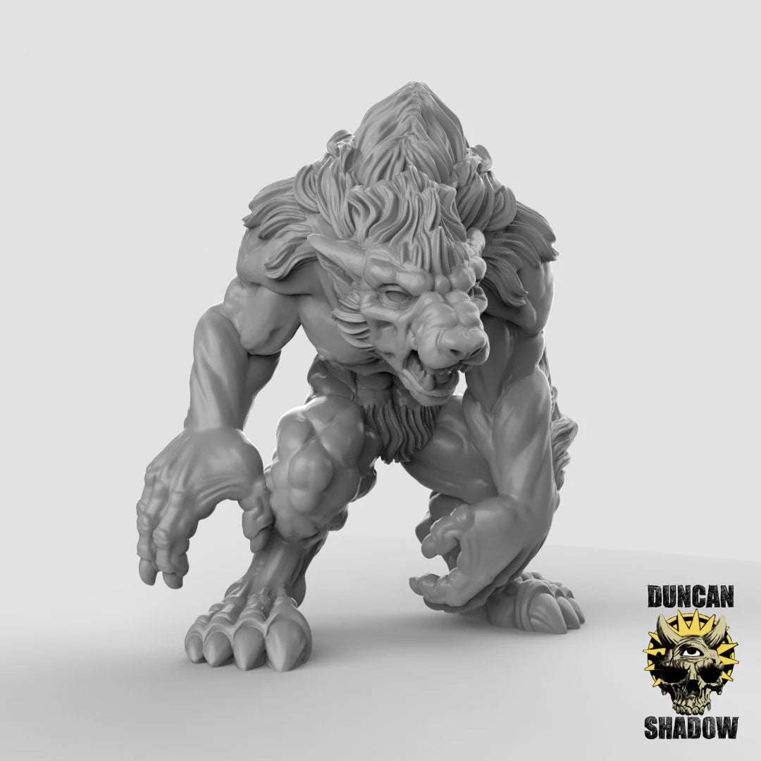 Werewolf Set 1 Miniature | C - Tabletop RPG & D&D miniature. Perfect for wargaming & collectors
