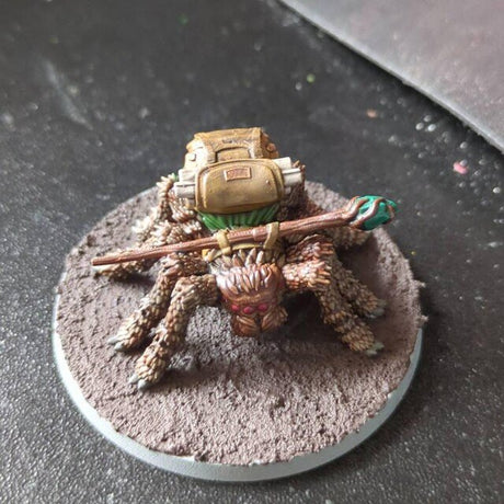 Spider Adventurer Miniature — Brent's Painted Showcase - Ottsworkshop