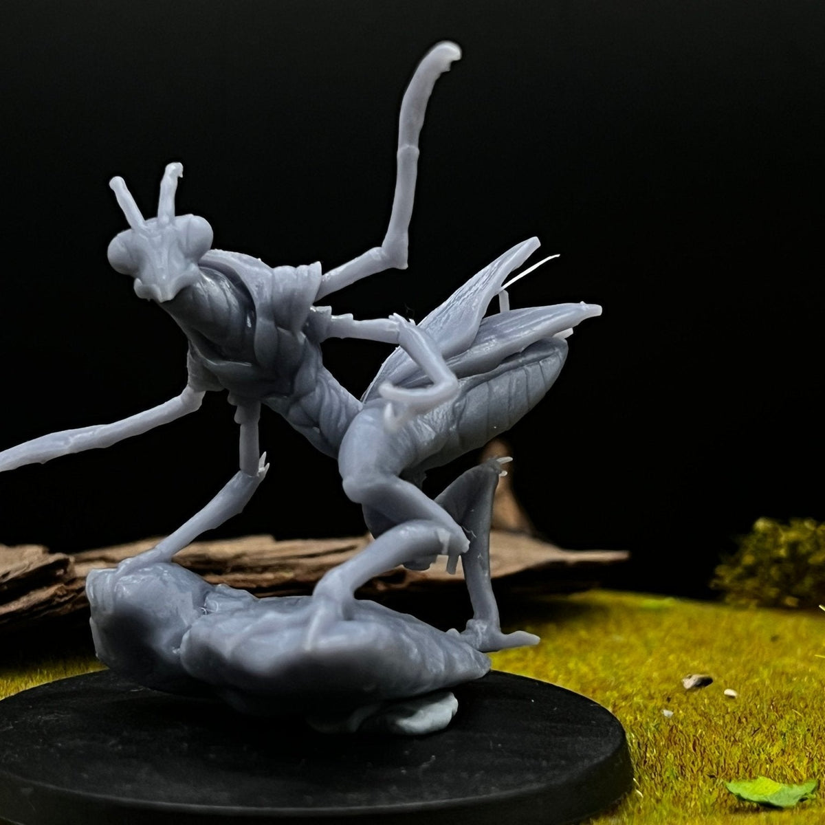 Insectoid Miniatures UK | Giant Insects, Beetle Monsters & Bug ...