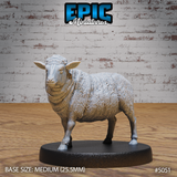 Sheep Miniature