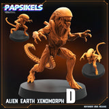 Alien Xeno | D - Tabletop RPG & D&D miniature. Perfect for wargaming & collectors