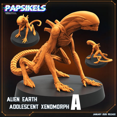 Alien Xenomorph Set | A - Tabletop RPG & D&D miniature. Perfect for wargaming & collectors