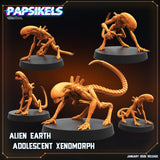 Alien Xenomorph Set | A - E - Tabletop RPG & D&D miniature. Perfect for wargaming & collectors
