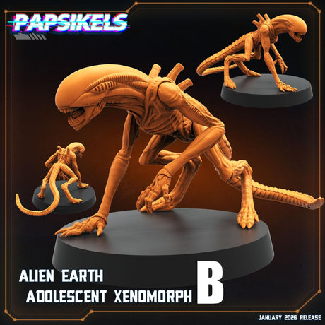 Alien Xenomorph Set | B - Tabletop RPG & D&D miniature. Perfect for wargaming & collectors