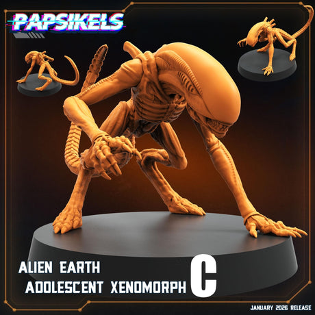 Alien Xenomorph Set | C - Tabletop RPG & D&D miniature. Perfect for wargaming & collectors