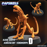 Alien Xenomorph Set | D - Tabletop RPG & D&D miniature. Perfect for wargaming & collectors