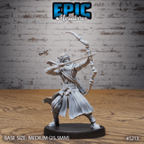 Assassin Prince Miniature | C - Tabletop RPG & D&D miniature. Perfect for wargaming & collectors