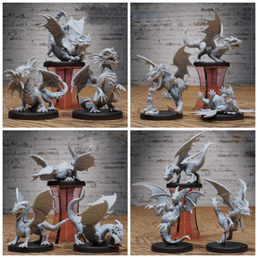 Baby Dragon Collection Set | 28mm - Tabletop RPG & D&D miniature. Perfect for wargaming & collectors