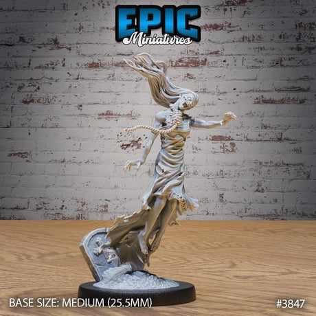 Banshee Miniature | 3847 - Tabletop RPG & D&D miniature. Perfect for wargaming & collectors
