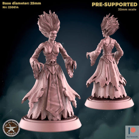 Banshee Miniature | B - Tabletop RPG & D&D miniature. Perfect for wargaming & collectors