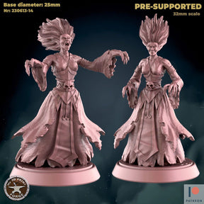 Banshee Miniature | Set of 2 - Tabletop RPG & D&D miniature. Perfect for wargaming & collectors