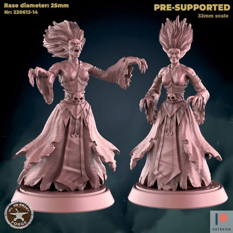 Banshee Miniature | Set of 2 - Tabletop RPG & D&D miniature. Perfect for wargaming & collectors