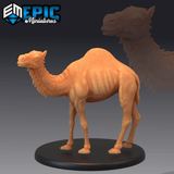 Camel Miniature | A - Tabletop RPG & D&D miniature. Perfect for wargaming & collectors