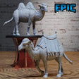 Camel Miniature | Set of 2 - Tabletop RPG & D&D miniature. Perfect for wargaming & collectors
