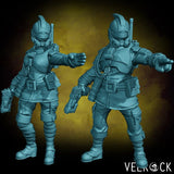 Captain Guardsmen Miniature | Set of 2 - Tabletop RPG & D&D miniature. Perfect for wargaming & collectors