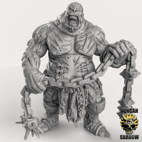 Chaos Ogre, Scarred Ones Miniature | B - Tabletop RPG & D&D miniature. Perfect for wargaming & collectors