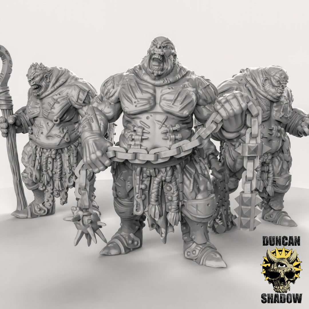 Chaos Ogre, Scarred Ones Miniature | Set of 3 - Tabletop RPG & D&D miniature. Perfect for wargaming & collectors