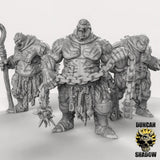 Chaos Ogre, Scarred Ones Miniature | Set of 3 - Tabletop RPG & D&D miniature. Perfect for wargaming & collectors