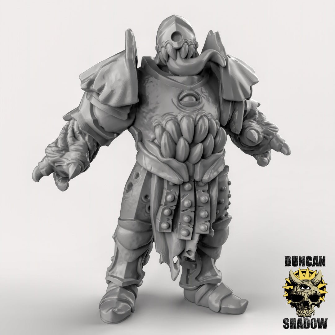 Chaos Warrior Miniature | C - Tabletop RPG & D&D miniature. Perfect for wargaming & collectors