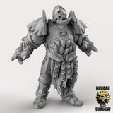 Chaos Warrior Miniature | C - Tabletop RPG & D&D miniature. Perfect for wargaming & collectors