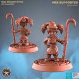 Christmas Gnome Miniature | A - Tabletop RPG & D&D miniature. Perfect for wargaming & collectors