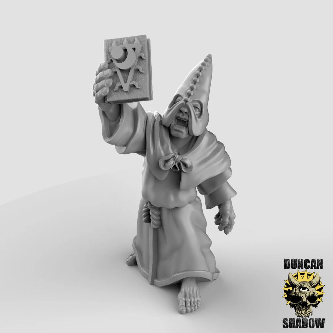 Cultist Priest Miniature | B - Tabletop RPG & D&D miniature. Perfect for wargaming & collectors