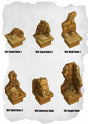 Desert Tiles Pattern Roof Pack (ET 180 to ET 185) | Buy Bundle (6 Blocks) - Tabletop RPG & D&D miniature. Perfect for wargaming & collectors