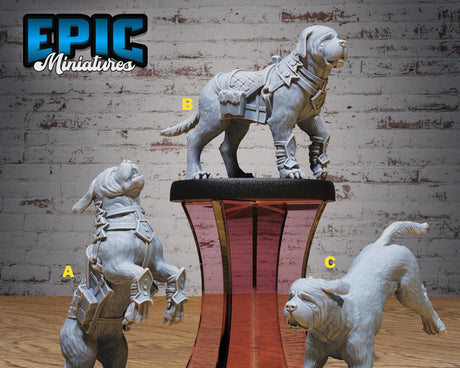 Dog Familiar Miniature | Set of 3 - Tabletop RPG & D&D miniature. Perfect for wargaming & collectors